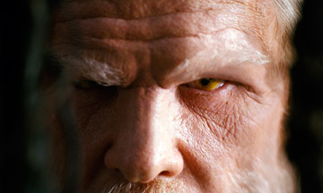 spiderwick1.jpg
