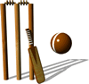 cricket.gif